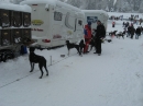 Schlittenhunderennen-Todtmoos-20100131-Bodensee-Community-seechat_de-IMG_8520.JPG