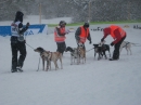 Schlittenhunderennen-Todtmoos-20100131-Bodensee-Community-seechat_de-IMG_8527.JPG