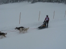 Schlittenhunderennen-Todtmoos-20100131-Bodensee-Community-seechat_de-IMG_8544.JPG