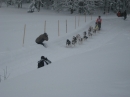 Schlittenhunderennen-Todtmoos-20100131-Bodensee-Community-seechat_de-IMG_8546.JPG