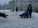 Schlittenhunderennen-Todtmoos-20100131-Bodensee-Community-seechat_de-IMG_8559.JPG