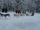 Schlittenhunderennen-Todtmoos-20100131-Bodensee-Community-seechat_de-IMG_8561.JPG