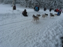 Schlittenhunderennen-Todtmoos-20100131-Bodensee-Community-seechat_de-IMG_8562.JPG