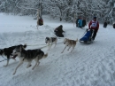 Schlittenhunderennen-Todtmoos-20100131-Bodensee-Community-seechat_de-IMG_8563.JPG