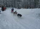 Schlittenhunderennen-Todtmoos-20100131-Bodensee-Community-seechat_de-IMG_8569.JPG