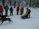 Schlittenhunderennen-Todtmoos-20100131-Bodensee-Community-seechat_de-IMG_8574.JPG