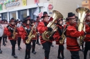 Narrenbaumstellen-Stockach-110210-Die-Bodensee-Community-seechat_de-_03.JPG