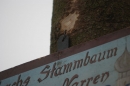Narrenbaumstellen-Stockach-110210-Die-Bodensee-Community-seechat_de-_136.JPG
