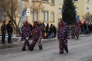 Narrensprung-Friedrichshafen-130210-Die-Bodensee-Community-seechat_de-_08.JPG