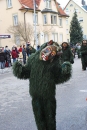 Narrensprung-Friedrichshafen-130210-Die-Bodensee-Community-seechat_de-_138.JPG