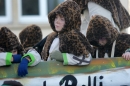 Fasnet-Umzug-Villingen-160210-Die-Bodensee-Community-seechat_de-_3011.JPG