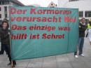 Kormoran-Demo-Muensterplatz-Ulm-200310-Die-Bodensee-Community-seechat_de-IMG_0343.JPG