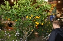 Messe-Friedrichshafen-IBO-210310-Bodensee-Community-seechat_de-IMG_6706.JPG