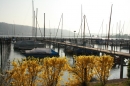 Kunstmesse-Bodensee-Ludwigshafen-240410-Bodensee-Community-seechat_de-IMG_7989.JPG