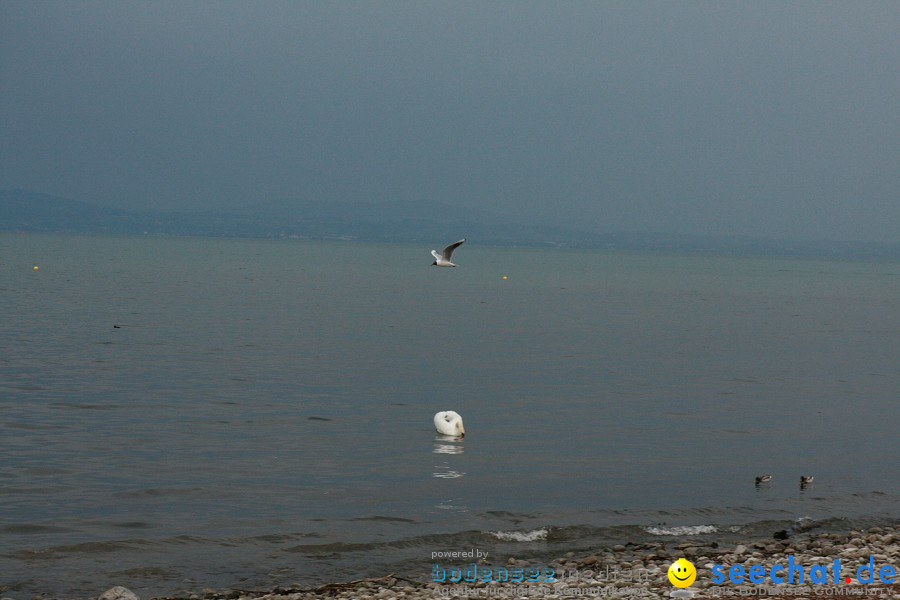 Matchrace 2011: Langenargen am Bodensee, 26.05.2011