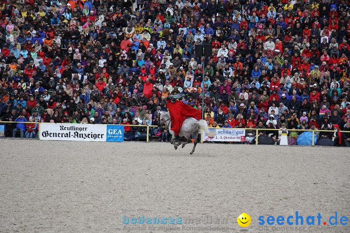 Hengstparade Marbach 2008
