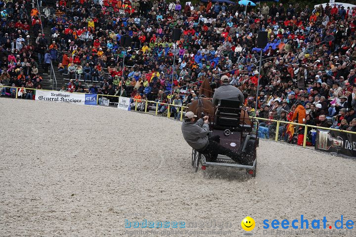 Hengstparade Marbach 2008