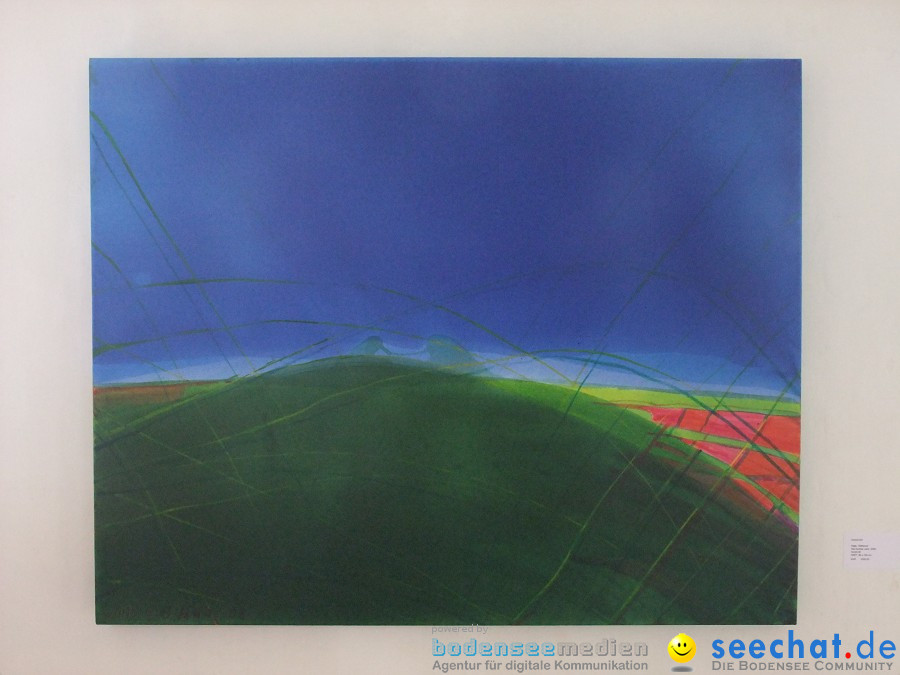 Vernissage von Haas und Waydelich: Schloss Mochental, 23.07.2011