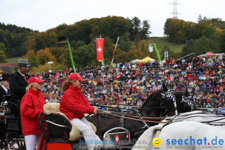 Hengstparade Marbach 2008