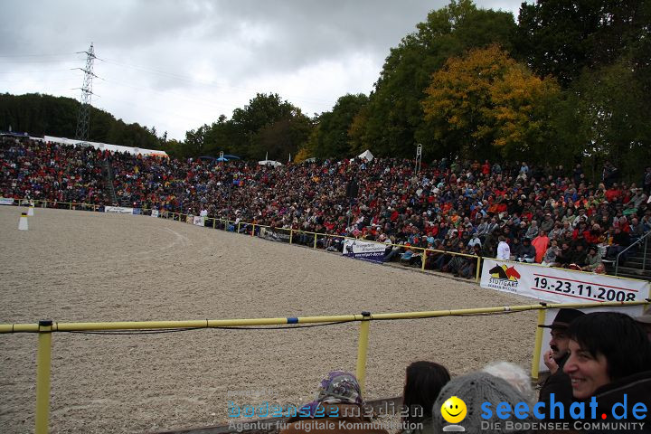 Hengstparade Marbach 2008