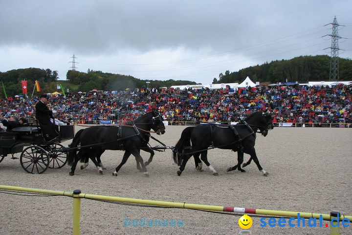 Hengstparade Marbach 2008
