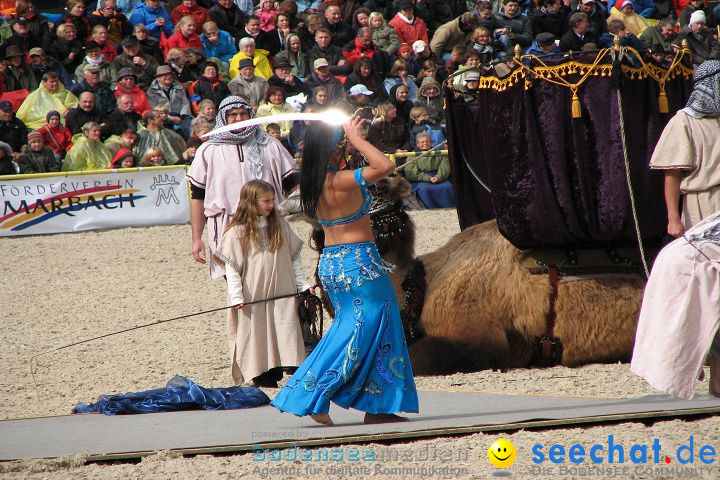 Hengstparade Marbach 2008