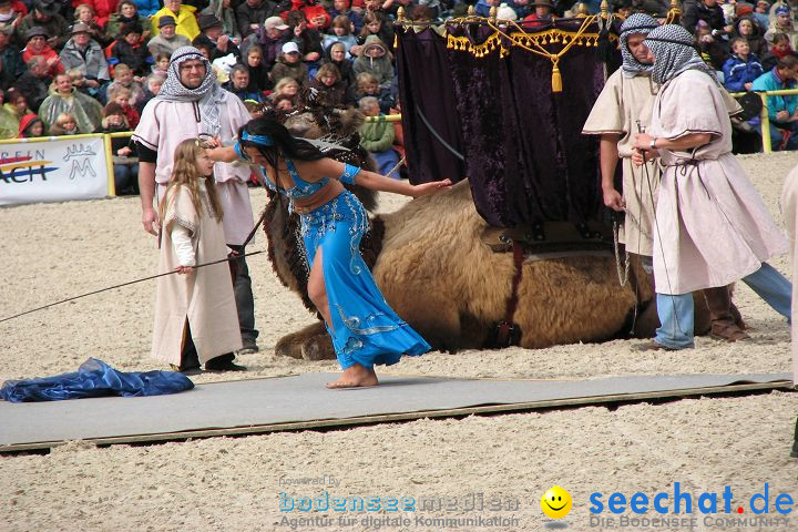 Hengstparade Marbach 2008