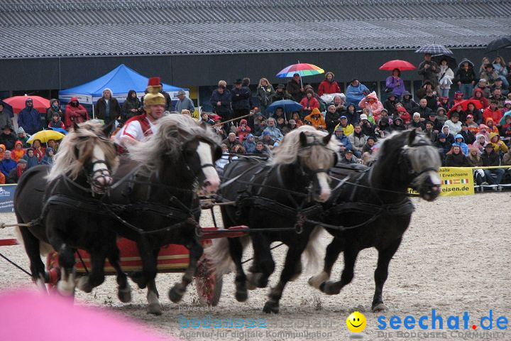 Hengstparade Marbach 2008