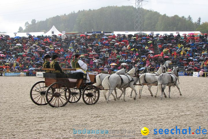 Hengstparade Marbach 2008