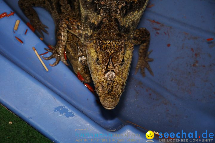 Reptilien-Ausstellung 2008