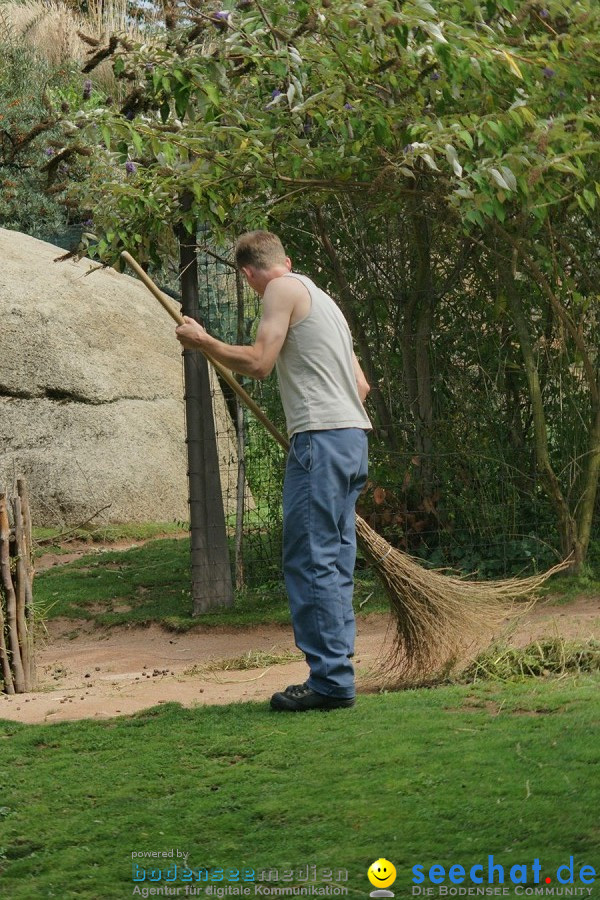 Zoo: Basel, 09.08.2011