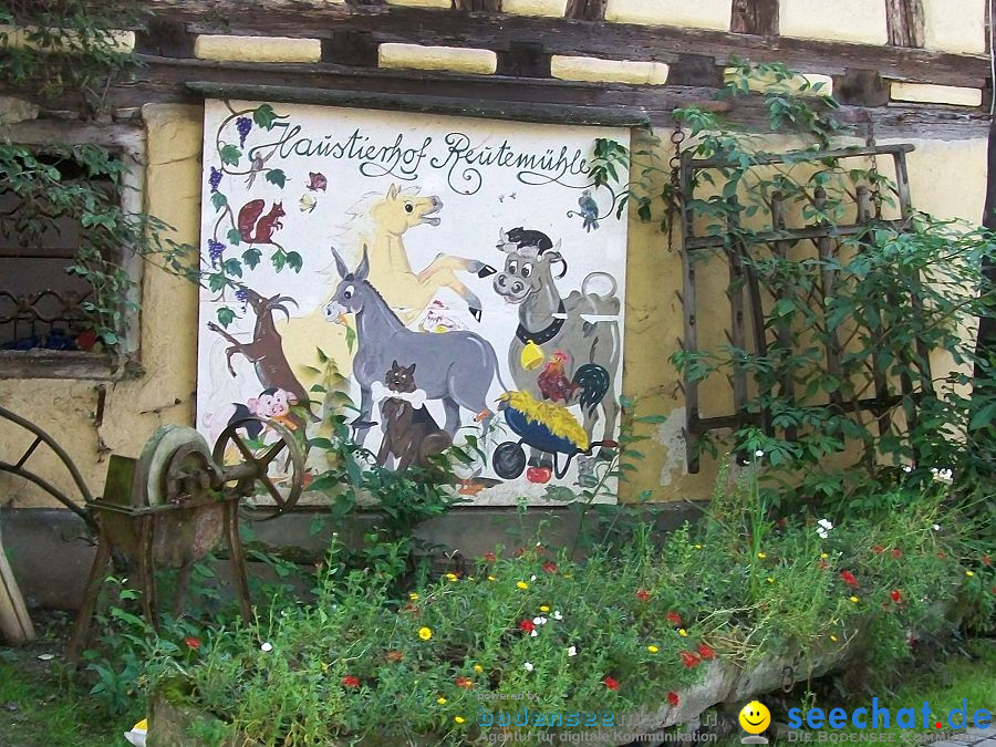 Haustierhof-Reutemuehle-13082011-Bodensee-Community-seechat_de-_02.JPG