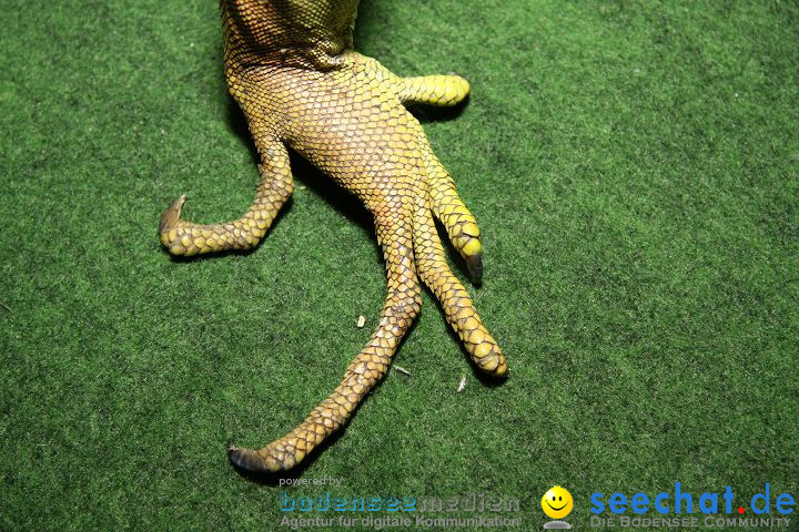Reptilien-Ausstellung 2008