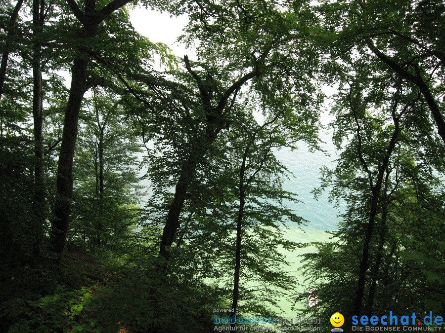 Marienschlucht: Bodman - Wallhausen: Bodensee, 13.08.2011