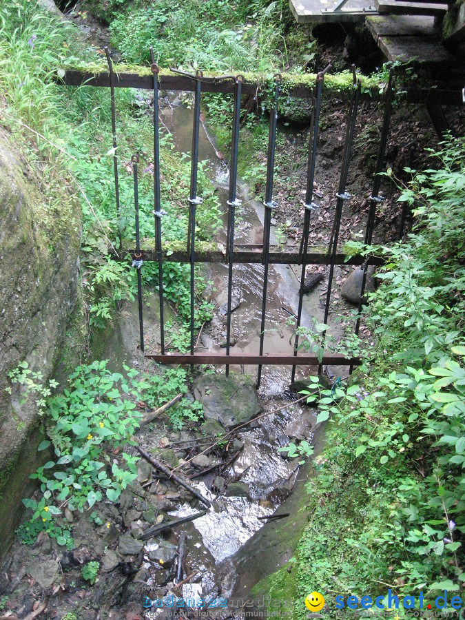 Marienschlucht: Bodman - Wallhausen: Bodensee, 13.08.2011