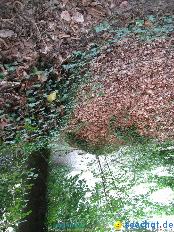 Marienschlucht: Bodman - Wallhausen: Bodensee, 13.08.2011