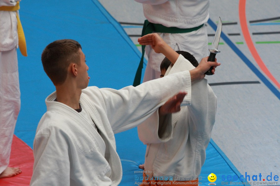 Ju-Jutsu Training: Konstanz am Bodensee, 13.08.2011