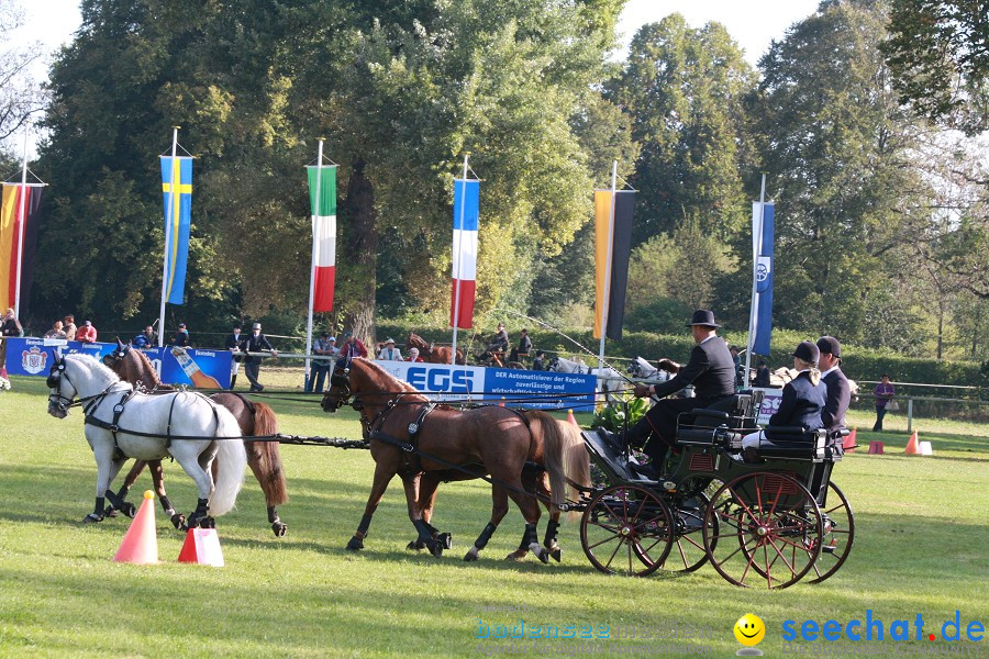 CHI-Donaueschingen Reitturnier 2011: Donaueschingen, 25.09.2011