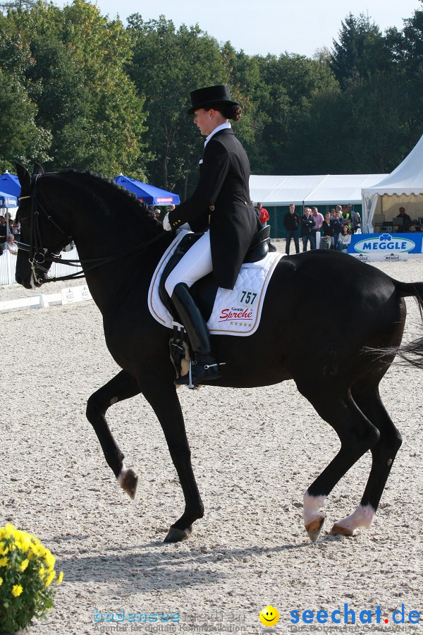 CHI-Donaueschingen Reitturnier 2011: Donaueschingen, 25.09.2011