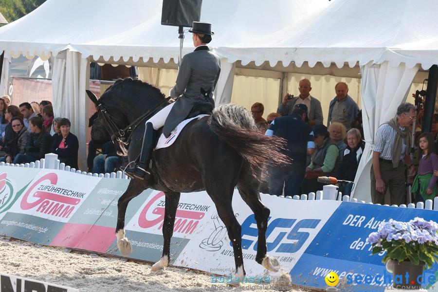 CHI-Donaueschingen Reitturnier 2011: Donaueschingen, 25.09.2011