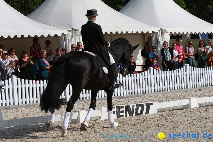 CHI-Donaueschingen Reitturnier 2011: Donaueschingen, 25.09.2011