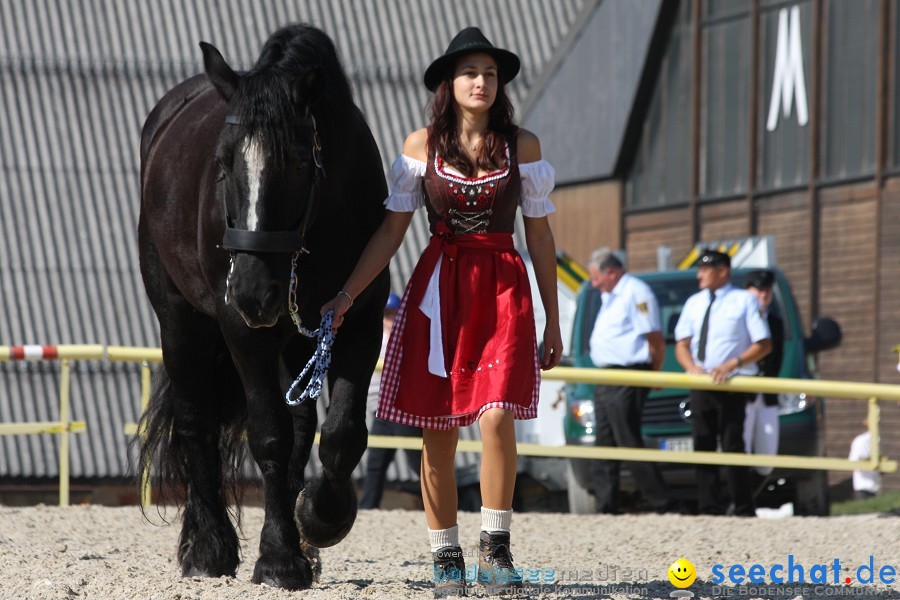 Hengstparade-Marbach-2011-011011-Bodensee-Community-SEECHAT_DE-IMG_0621.JPG