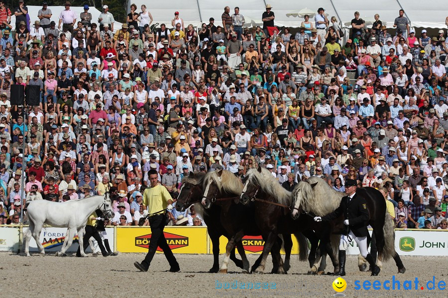 Hengstparade-Marbach-2011-011011-Bodensee-Community-SEECHAT_DE-IMG_0674.JPG