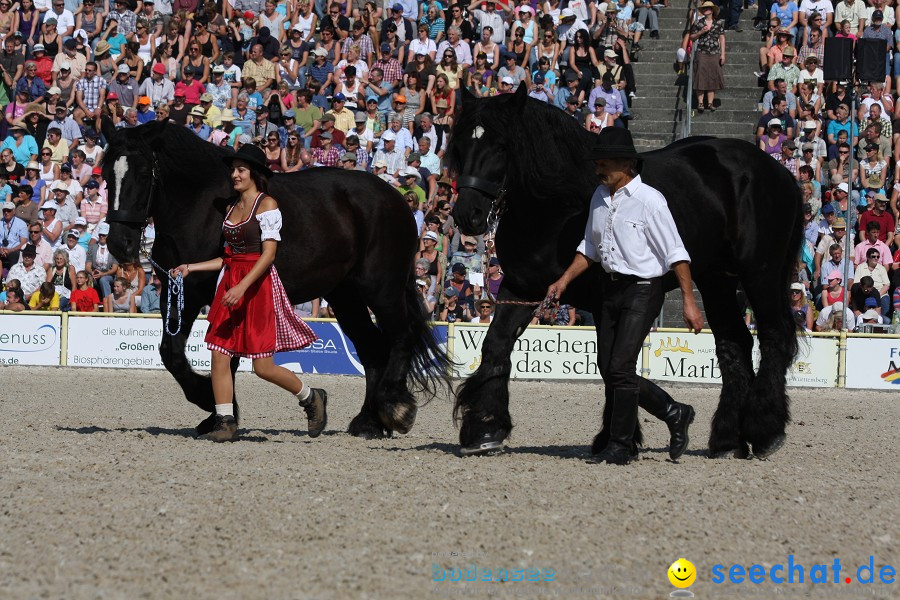 Hengstparade-Marbach-2011-011011-Bodensee-Community-SEECHAT_DE-IMG_0681.JPG