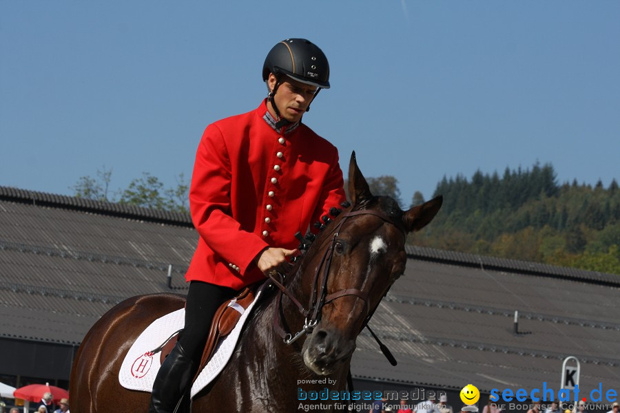 Hengstparade-Marbach-2011-011011-Bodensee-Community-SEECHAT_DE-IMG_0730.JPG
