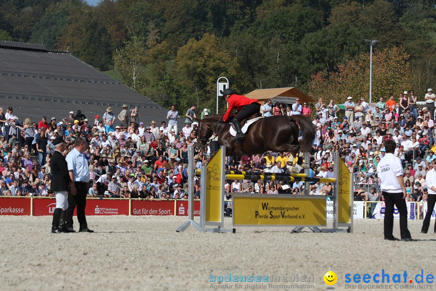 Hengstparade-Marbach-2011-011011-Bodensee-Community-SEECHAT_DE-IMG_0798.JPG