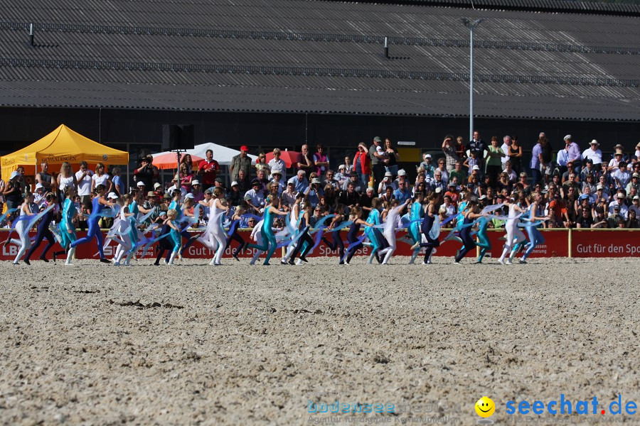 Hengstparade-Marbach-2011-011011-Bodensee-Community-SEECHAT_DE-IMG_0991.JPG