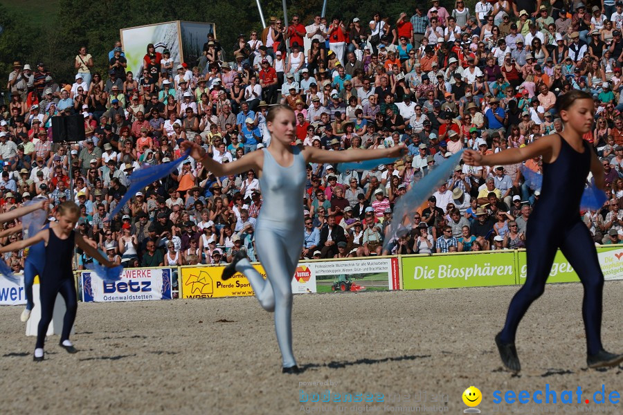 Hengstparade-Marbach-2011-011011-Bodensee-Community-SEECHAT_DE-IMG_1071.JPG
