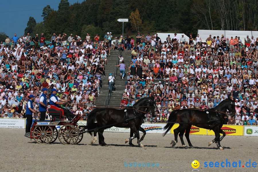 Hengstparade-Marbach-2011-011011-Bodensee-Community-SEECHAT_DE-IMG_1108.JPG