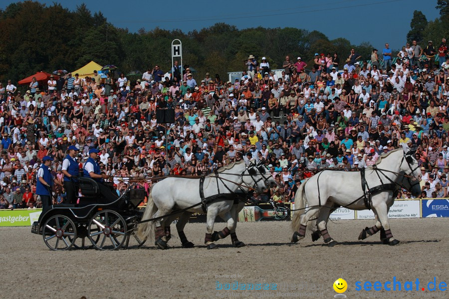 Hengstparade-Marbach-2011-011011-Bodensee-Community-SEECHAT_DE-IMG_1113.JPG